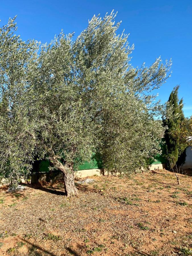 לינה וארוחת בוקר Cálig Casa Dominaty מראה חיצוני תמונה